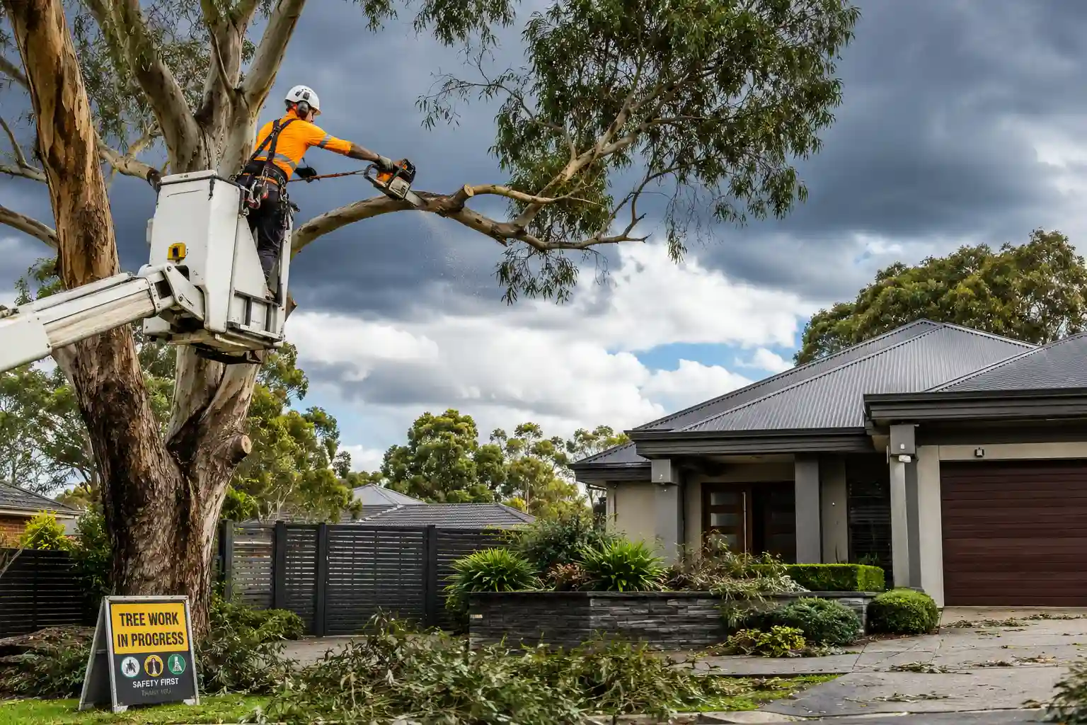 Arborist Service Guide: How Professional Tree Care Improves Property Safety