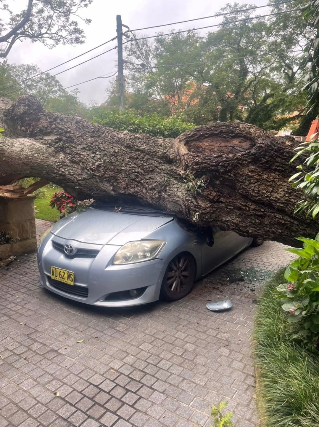 Storm Damage Services