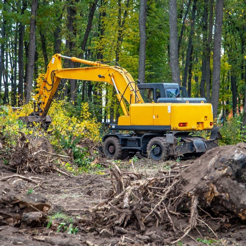 Land Clearing in Baulkham Hills