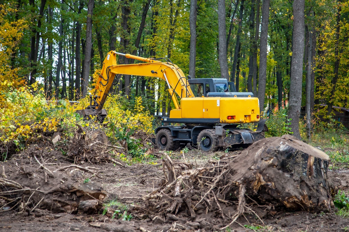 Land Clearing in Baulkham Hills: 7 Things to Know First