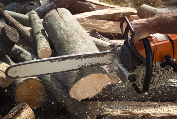 Tree Cutting Baulkham Hills