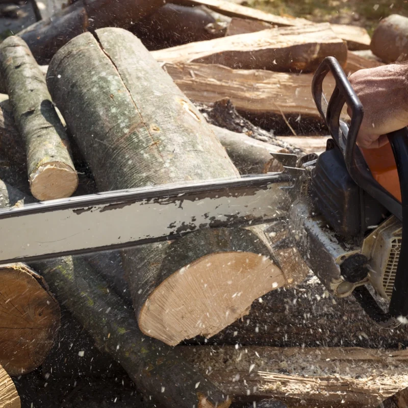Tree Cutting Baulkham Hills