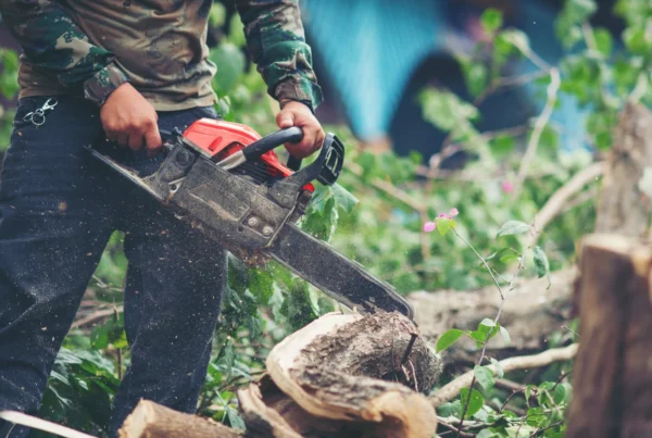 Tree Lopping Service
