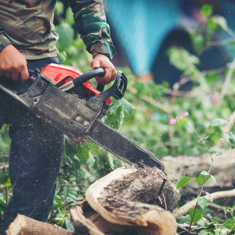 Tree Lopping Service