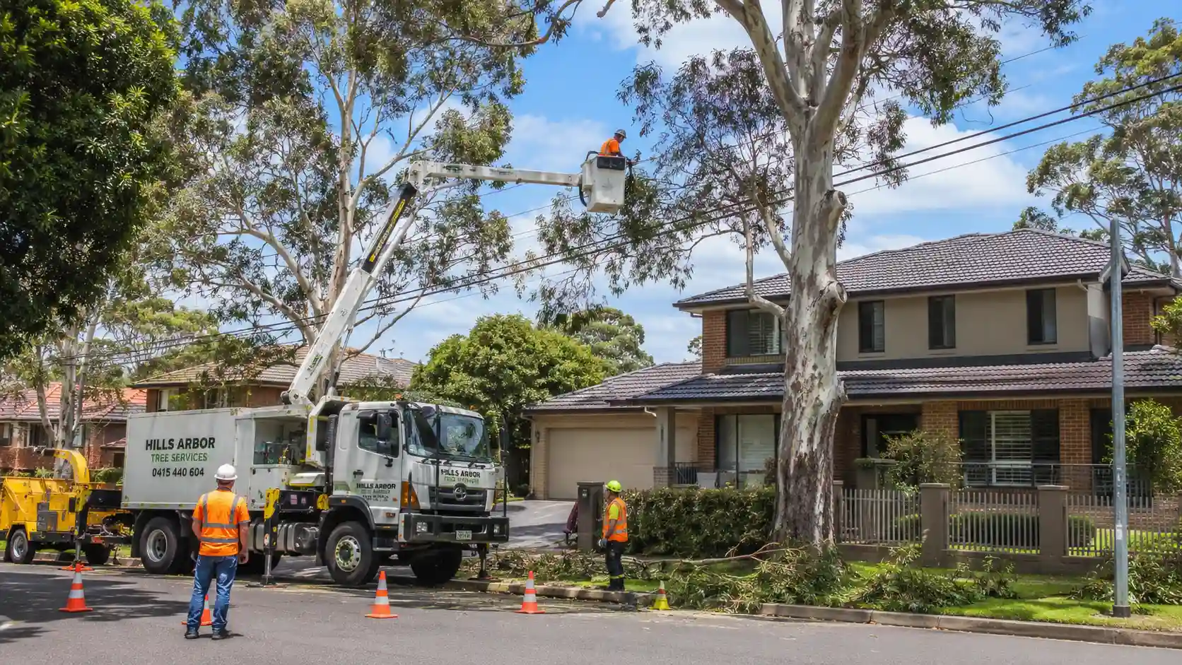 How Expert Tree Care Services Help Protect Nearby Structures and Utilities